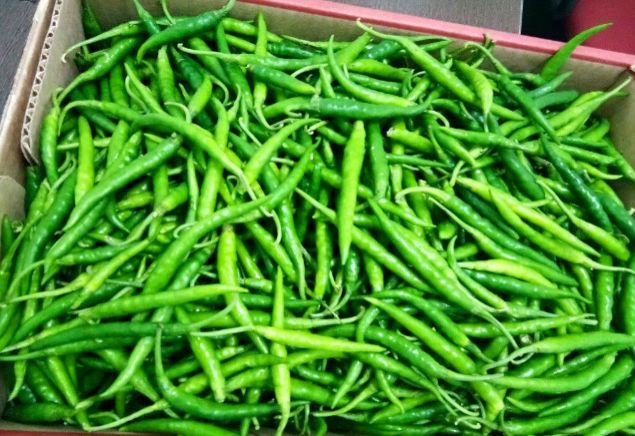 Fruits and Vegetable  Export Consultation Services