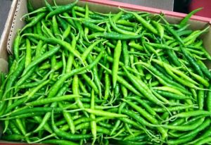 Fruits and Vegetable  Export Consultation Services